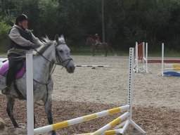 2013 Stubmarktur